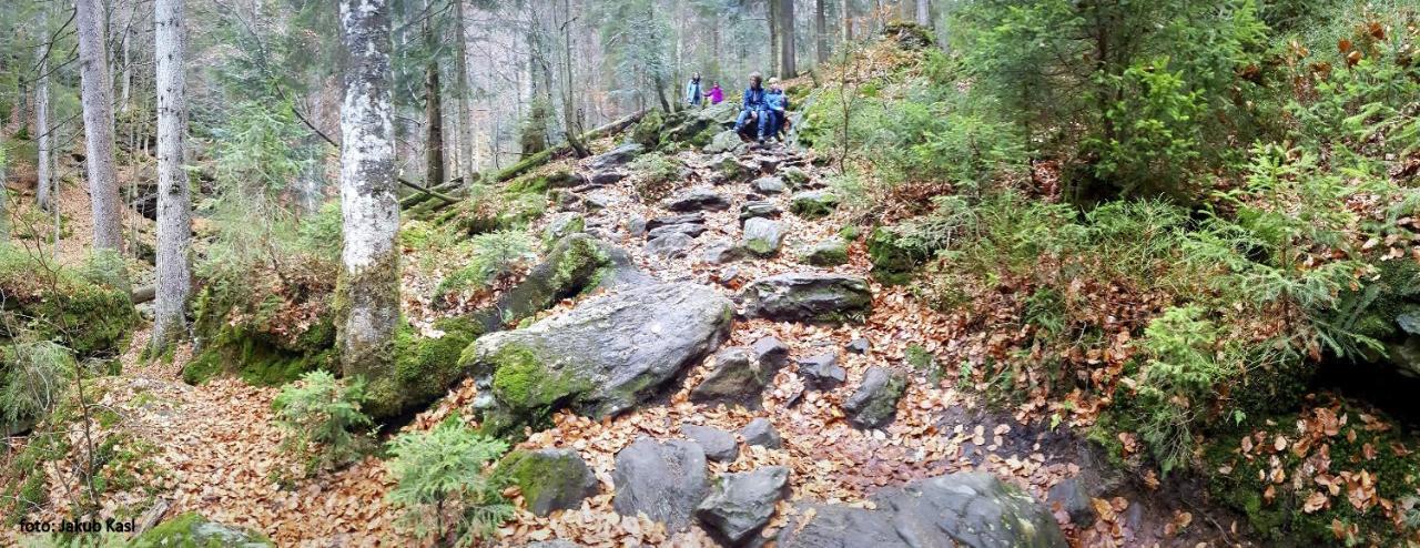 Pension Aspen Železná Ruda Exteriér fotografie