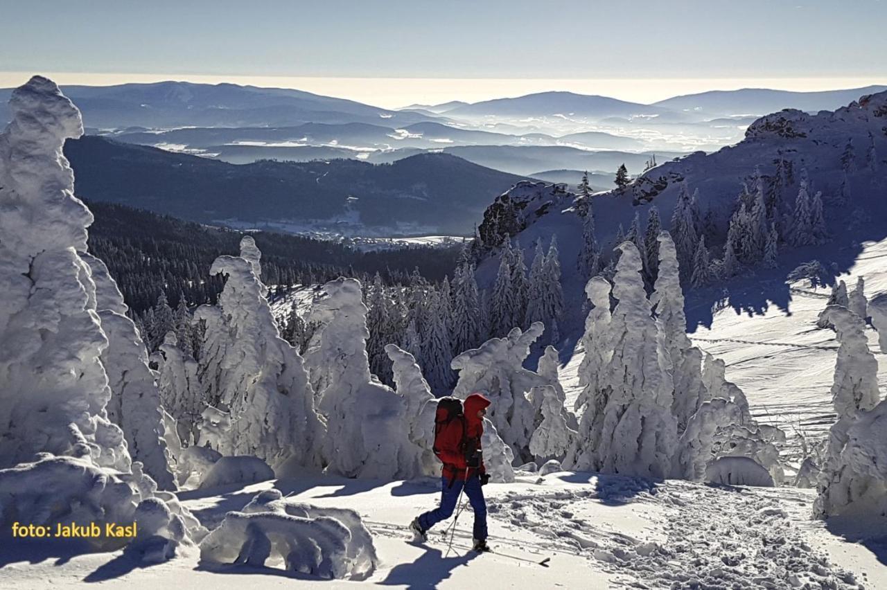 Pension Aspen Železná Ruda Exteriér fotografie