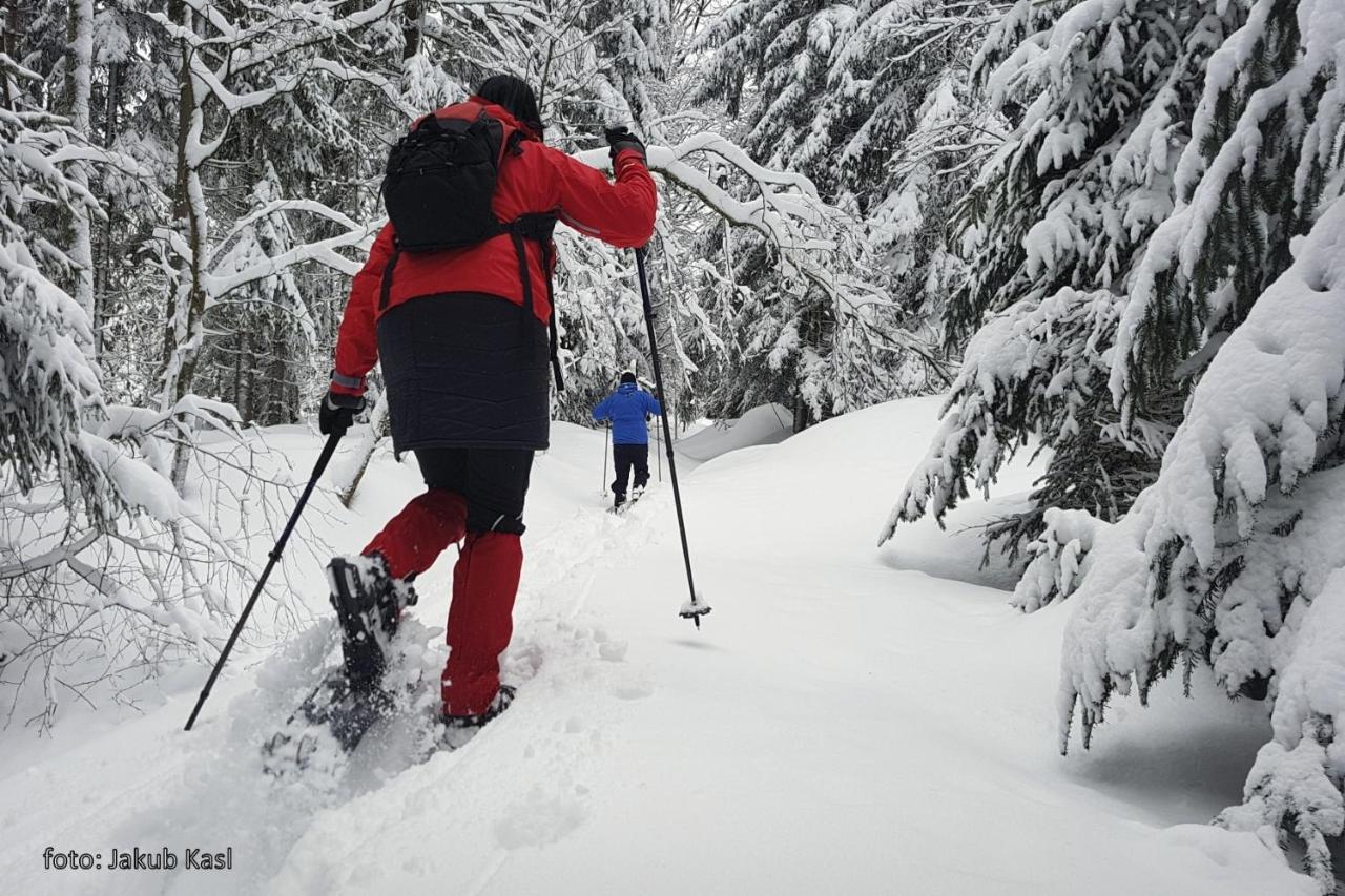 Pension Aspen Železná Ruda Exteriér fotografie