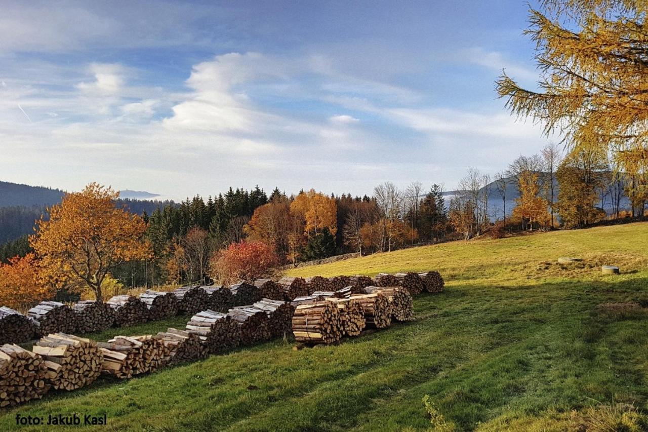 Pension Aspen Železná Ruda Exteriér fotografie