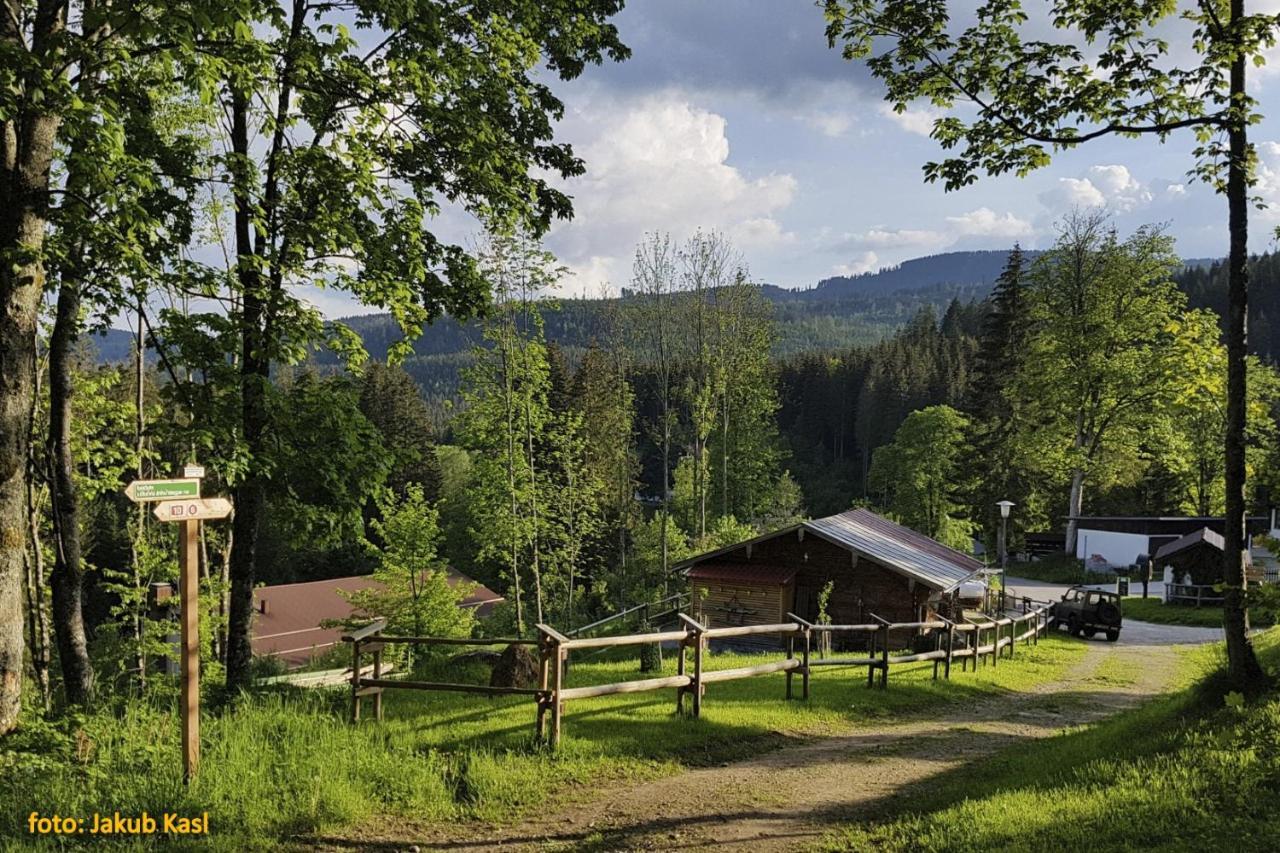 Pension Aspen Železná Ruda Exteriér fotografie